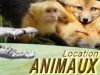 animaux pour prestation